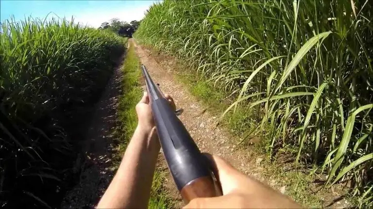 Un hombre sujeta una escopeta en una imagen de archivo. 