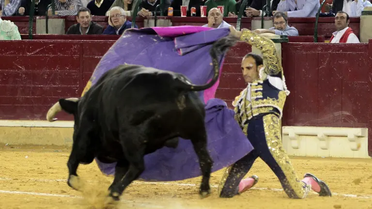 El diestro Alberto Álvarez en la faena al segundo de su lote, de la ganadería La Quinta, durante la primera corrida de la Feria del Pilar de Zaragoza, en la que ha compartido cartel con Rafaelillo y Ricardo Torres. EFE/Javier Cebollada