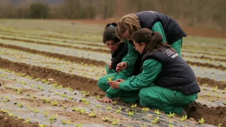 Iniciativas sociales en el ámbito rural.