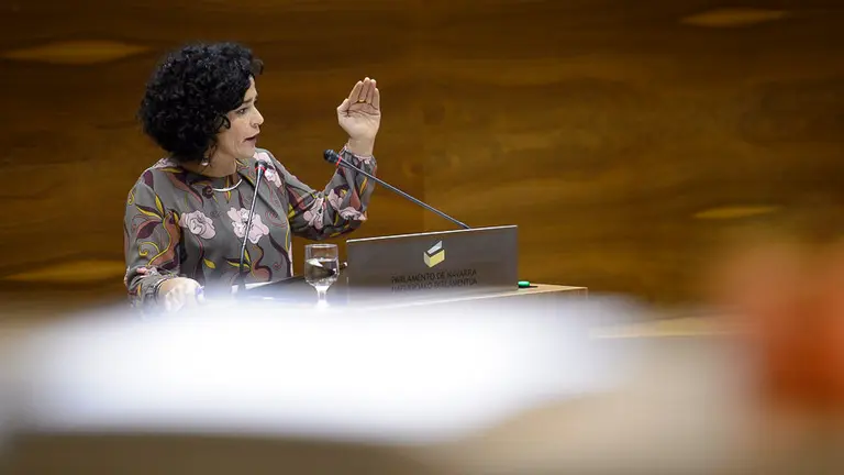 Inma Jurio, del PSN-PSOE comparece ante parlamentarios en el Parlamento de Navarra. PABLO LASAOSA