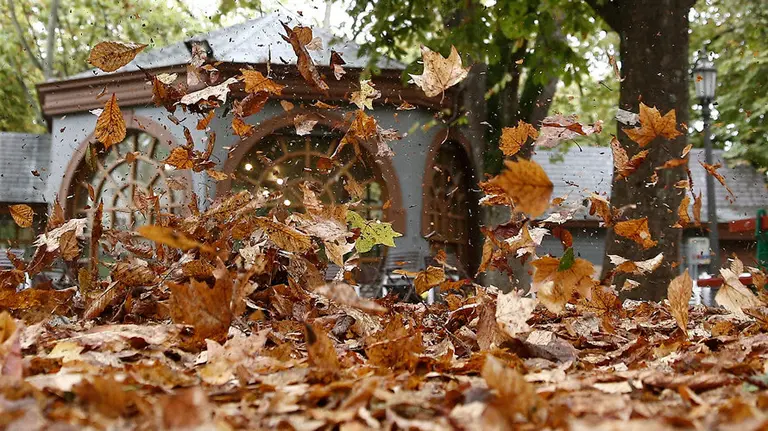 Tiempo.-hojas-caídas-en-el-parque-de-La-Taconera-durante-el-Otoño.