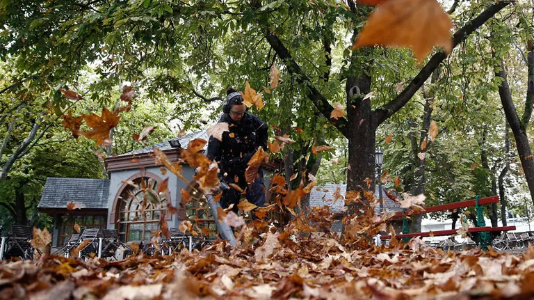 Tiempo. Hojas caídas durante el otoño en el parque de La Taconera, en Pamplona.