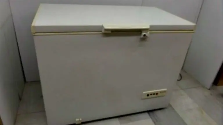 El asesino confesó escondió el cadáver de la víctima en un arcón congelador. ARCHIVO