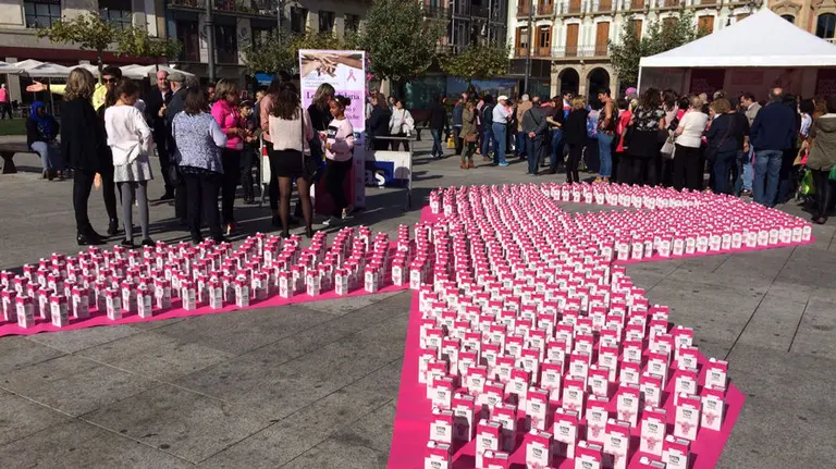 Jornada impulsada por la asociación navarra Saray contra el cáncer de mama. S. REDIN (3)