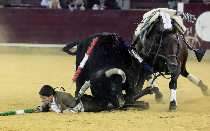La rejoneadora francesa Lea Vicens es derribada de su montura durante la faena a su segundo toro, de la ganadería Fermín Bohorquez durante la corrida de rejones de la feria del Pilar de Zaragoza. EFE/Javier Cebollada