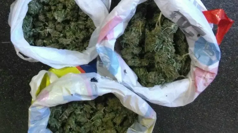 Bolsas de marihuana incautadas en Olite. PFORAL. 