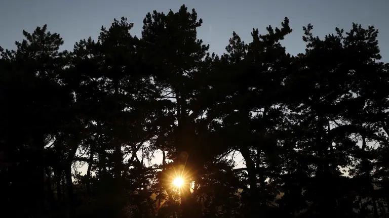 El sol comienza a ocultarse por detrás de unos árboles en una jornada con los cielos despejados. EFE/Jesús Diges