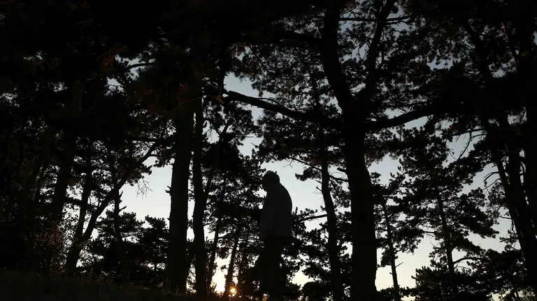 El sol comienza a ocultarse por detrás de unos árboles en una jornada con los cielos despejados. EFE/Jesús Diges