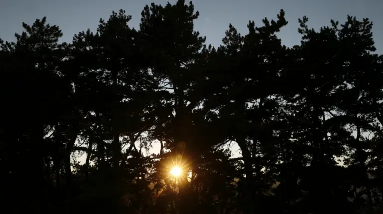 Tiempo. Fin de semana con cielos despejados en Navarra. EFEJesús Diges