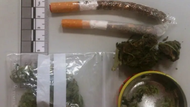 Un control de drogas en un autobús escolar a Tafalla se salda con cinco incautaciones. PFORAL