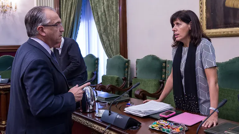 Pleno del Ayuntamiento de Pamplona (11). IÑIGO ALZUGARAY