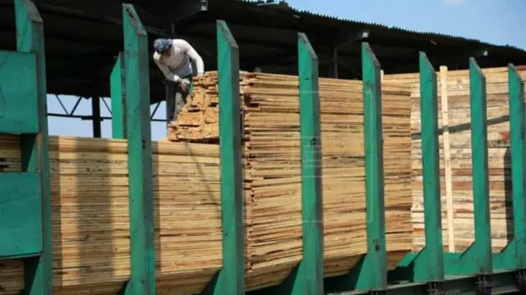 Un trabajador descargando madera de un tren. EFE