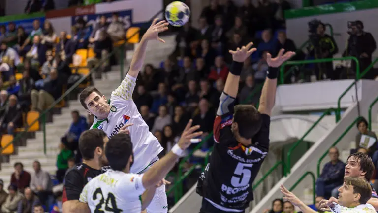 Partido de la Liga Asobal entre Helvetia Anaitasuna y Naturhouse La Rioja (21). IÑIGO ALZUGARAY