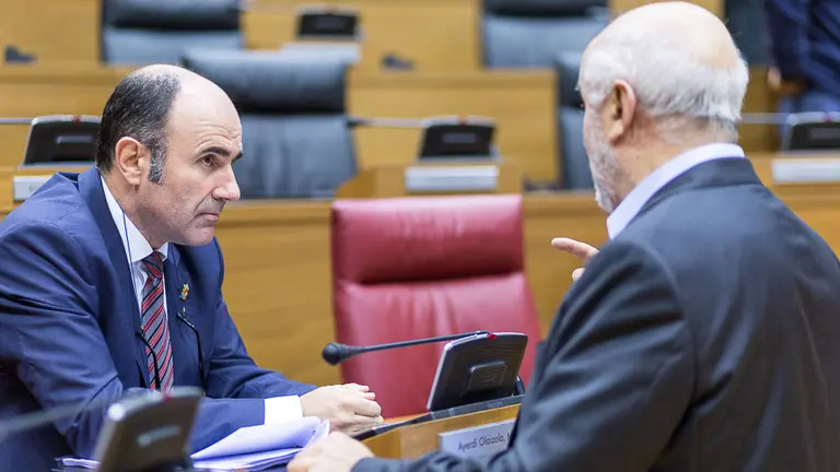 Manu Ayerdi, vicepresidente de Desarrollo Económico, y el consejero de Educación, José Luis Mendoza, dialogan antes del inicio del pleno. IÑIGO ALZUGARAY
