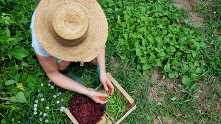 Imagen de una mujer trabajando en una zona rural. AFAMMER UE