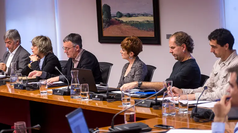 Representantes de COVITE expone en comisión parlamentaria un informe sobre los efectos del terrorismo en el disfrute de los Derechos Humanos (6). IÑIGO ALZUGARAY