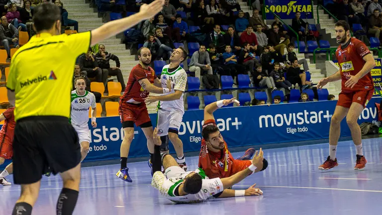Partido de la Liga Asobal entre Helvetia Anaitasuna y Bada Huesca (2). IÑIGO ALZUGARAY