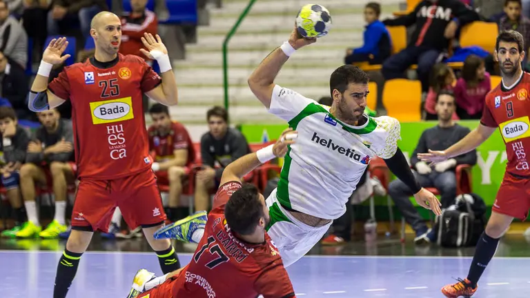 Partido de la Liga Asobal entre Helvetia Anaitasuna y Bada Huesca (13). IÑIGO ALZUGARAY