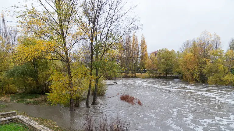 Una imagen del río Arga a su paso por Pamplona. ARCHIVO / IÑIGO ALZUGARA
