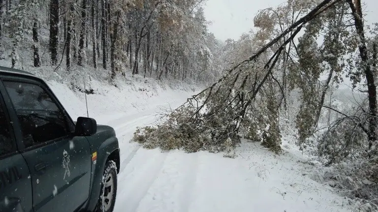 Temporal de nieve en la NA-7230, km.15
