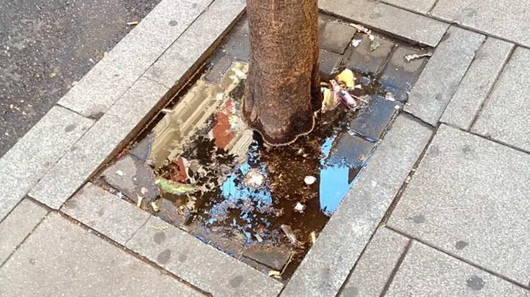 Alcorque en una acera. FLICKR