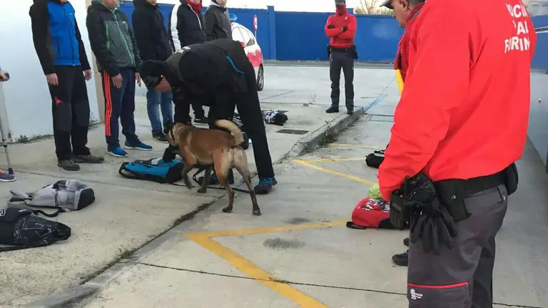 Control antidroga en un atobús escolar que se dirigía a varios centros educativos en Peralta POLICÍA FORAL
