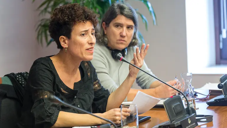 Madres de los jóvenes de Alsasua encausados por delito de terrorismo por la agresión a dos guardia civiles en un bar de la localidad comparecen en comisión parlamentaria. IÑIGO ALZUGAR (14)