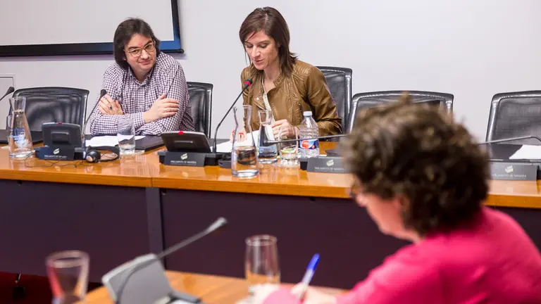 El representante de la Asociación de Profesores de Secundaria, Alberto Royo, informa en comisión parlamentaria sobre la Ley de Protección del Profesorado. IÑIGO ALZUGARA (6)