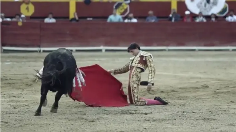 Sin Roca Rey vuelve a impresionar con este espectacular inicio de faena por arrucinas de rodillas.