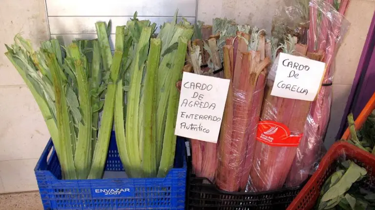 Algunas de las variedades de cardo a la venta en el mercado ÁNGEL CHARELA Flora de la Ribera
