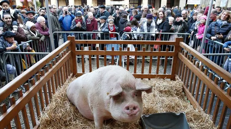 Santo-Tomás,-San-Sebastián