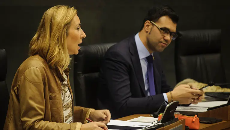 Ana Beltrán y Javier García, miembros del grupo parlamentario del Partido Popular, durante el pleno del jueves. MIGUEL OSÉS 