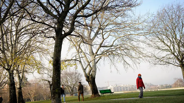 Tiempo. La vuelta del castillo bajo el frio y la niebla en una de las mañanas mas frias del año. MIGUEL OSÉS (5)