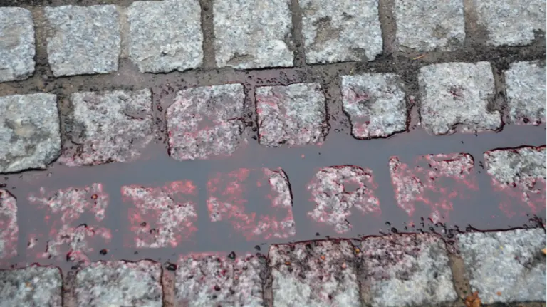 Sangre en el suelo en una imagen de recurso. ARCHIVO