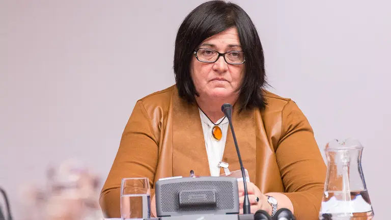 La directora-gerente de Sodena, Pilar Irigoien, analiza la situación de la empresa Davalor Salud en la comisión de Desarrollo Económico. IÑIGO ALZUGARAY