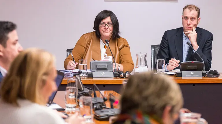 La directora-gerente de Sodena, Pilar Irigoien, analiza la situación de la empresa Davalor Salud en la comisión de Desarrollo Económico. IÑIGO ALZUGARAY