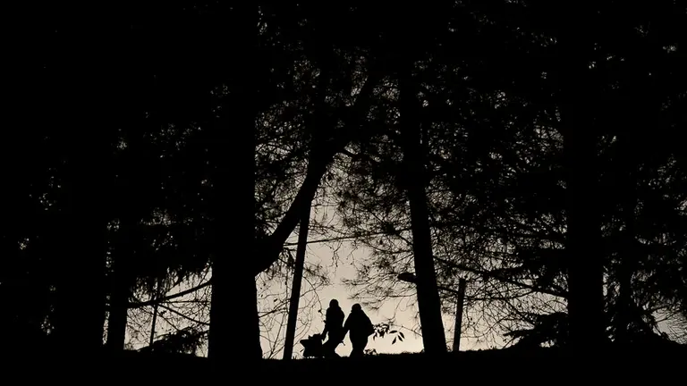 Una pareja pasea bajo los árboles aprovechando el parón en el tiempo de lluvia. PABLO LASAOSA