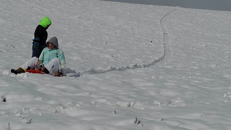Dos personas disfrutan en un pareja nevado en la Comunidad foral. MIGUEL OSÉS (6)