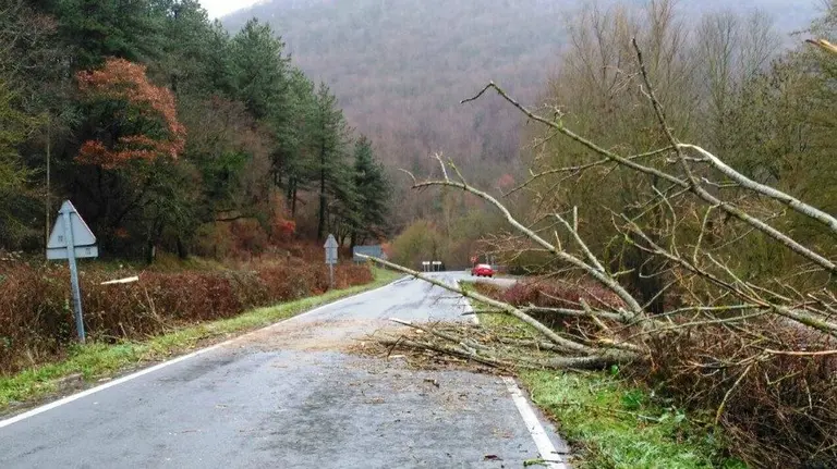 Un desprendimiento en la carretera de Atez durante esta mañana de lunes. PFORAL