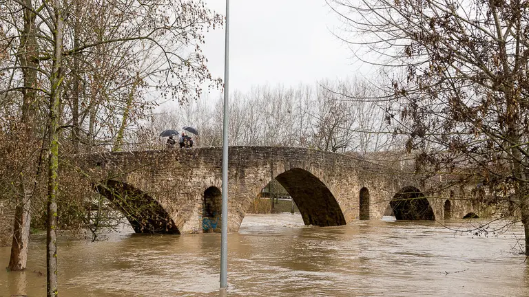 Crecida del río Arga en la zona del puente de la Magdalena (1). IÑIGO ALZUGARAY