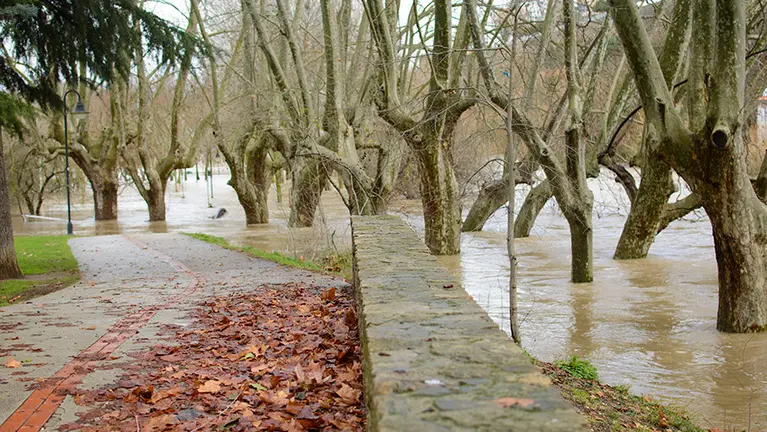 De los Corralillos del Gas hasta Aranzadi pasando por el parque de la Runa, asi ha quedado el barrido de La Rochapea tras la crecida del rio Arga. MIGUEL OSÉS_7