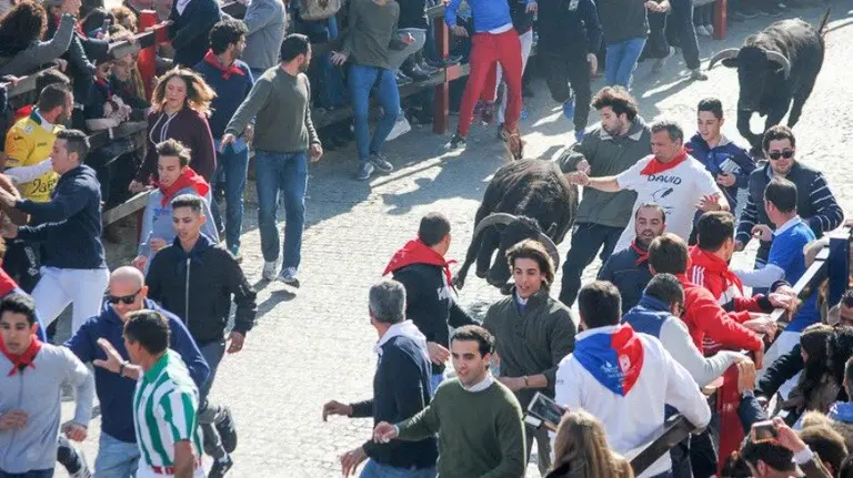 El encierro en La Puebla del Río, en Sevilla. JAVIER GARCÍA BAQUEDANO TWITTER