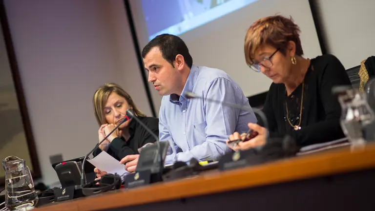 Comparecencia del director del Instituto de Deporte y Juventud para que explique la guía publicada para sensibilizar contra la trata de mujeres y niñas con fines de explotació (2)