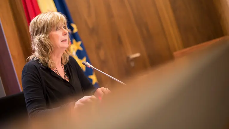 Ana Ollo y Manu Ayerdi informan de los avances del Gobierno de Navarra en rueda de prensa. PABLO LASAOSA