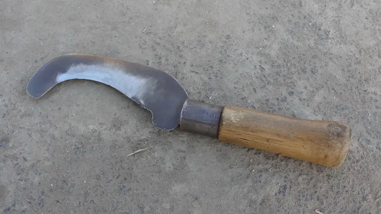 Imagen de una hoz similar a la que ha usado una joven para cercenar el pene de su novio al decubrir una infidelidad