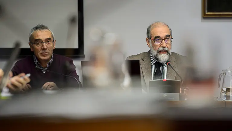 Comparecencia del consejero de Salud, Javier Domínguez, para exponer la situación del servicio de urgencias del CHN. PABLO LASAOSA 07