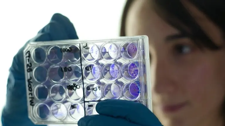 Investigadoras del CIMA durante una evaluación de pruebas.