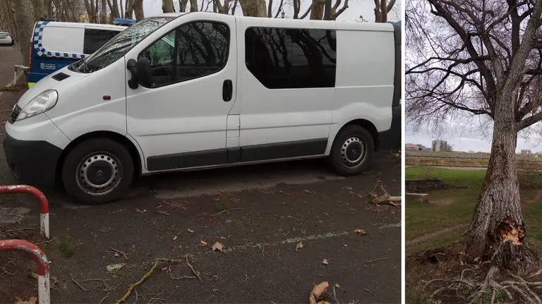 Consecuencias del temporal de viento en Pamplona POLICÍA MUNICIPAL