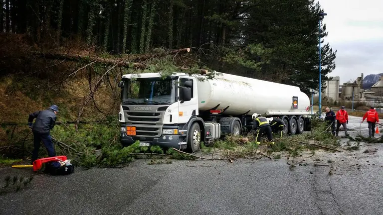 Accidente de un camión cisterna cargado con gasolina al que le caen varios pinos arrastrando tendido eléctrico.