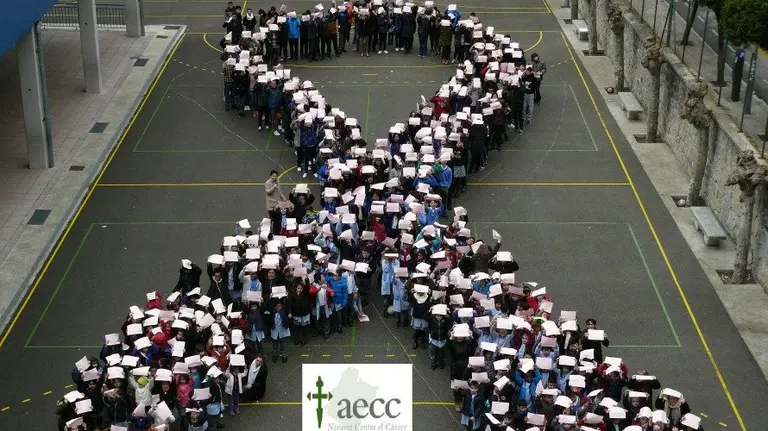Los niños y alumnos de Navarra se unen contra el cáncer. SANTA CATALINA, PAMPLONA